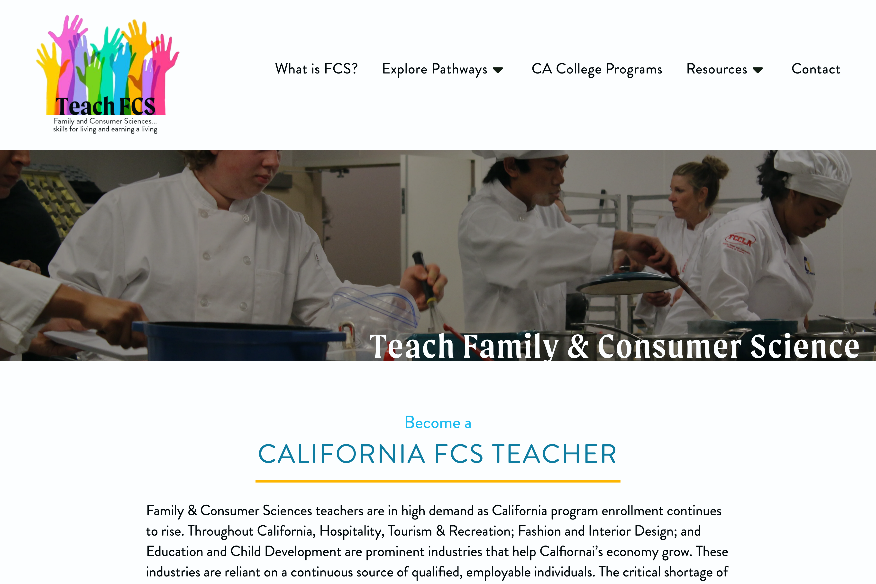 Web Design screenshot